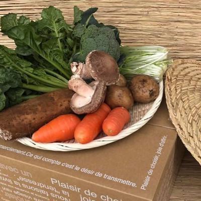 ふるさと納税 行方市 【ハーフセット】『身体が喜ぶ野菜』(おまかせ6〜7品) |  | 03