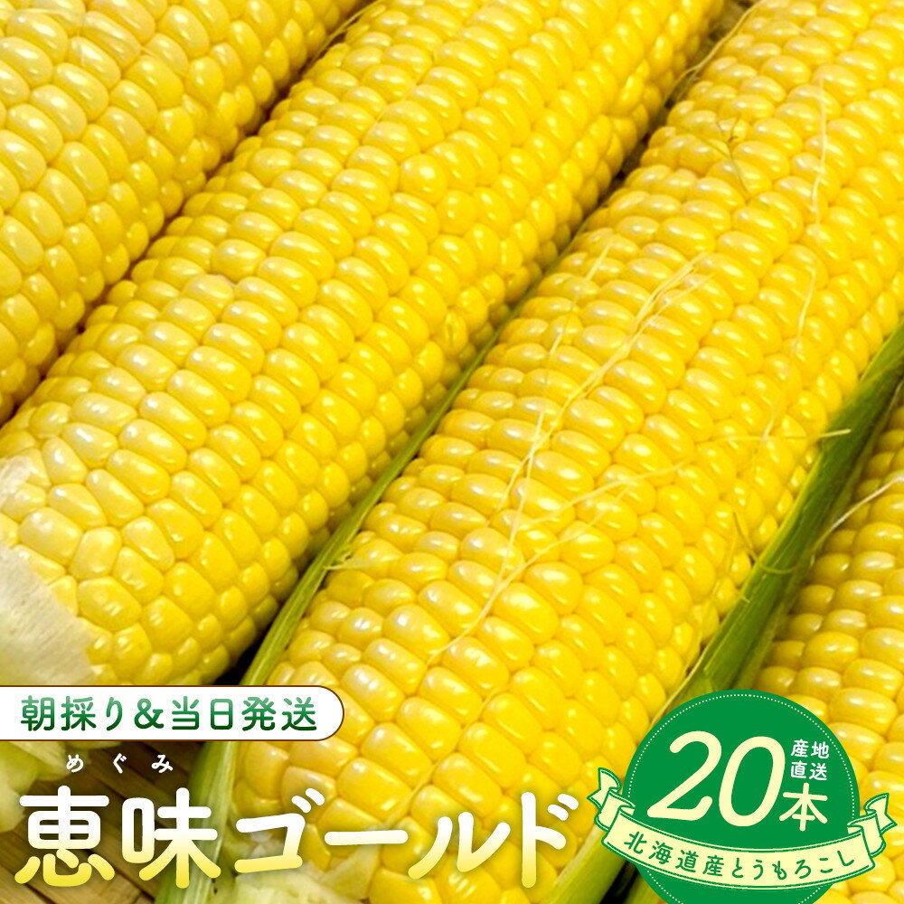 【ふるさと納税】北海道産とうもろこし（恵味ゴールド20本） | 野菜 やさい 食品 人気 おすすめ 送料無料