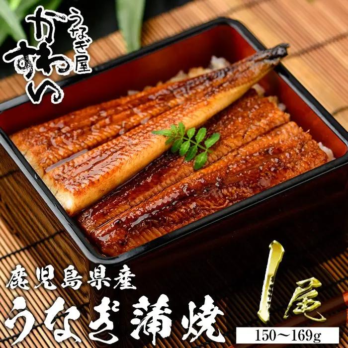 ＜うなぎ屋かわすい＞鹿児島県産 国産 うなぎ 蒲焼 タレ 鰻 うな重 かばやき 1本 150～169g 【川口水産】A853