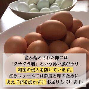 【定期便12か月】 江原ファーム　地養卵＆アローカナハーフセット（計20個）| 卵 たまご タマゴ _AG27