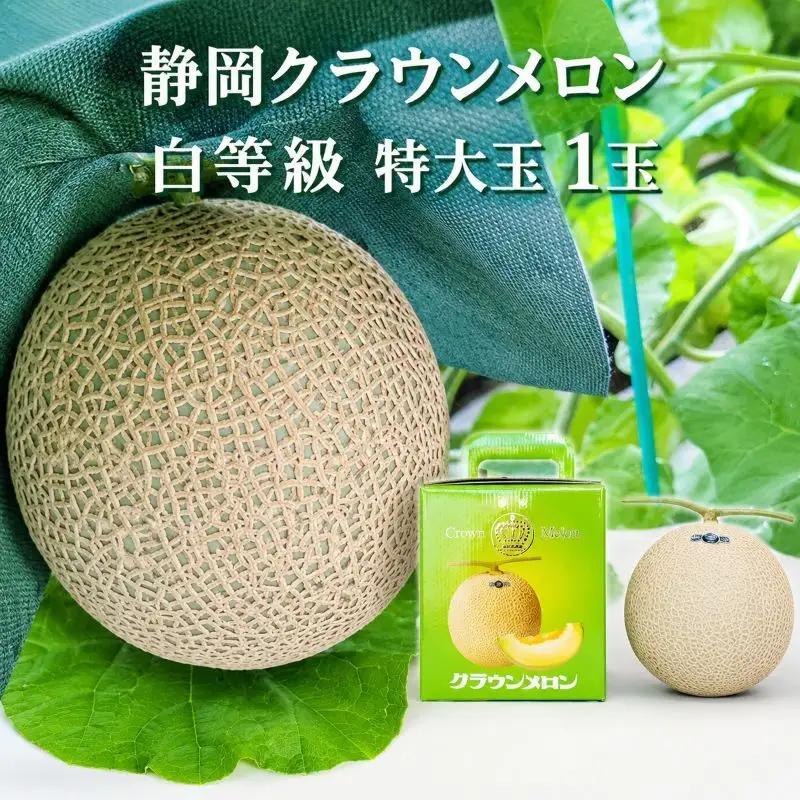 クラウンメロン マスクメロン 並 白等級 特大玉 クラウンメロン【約1.5kg 1玉】