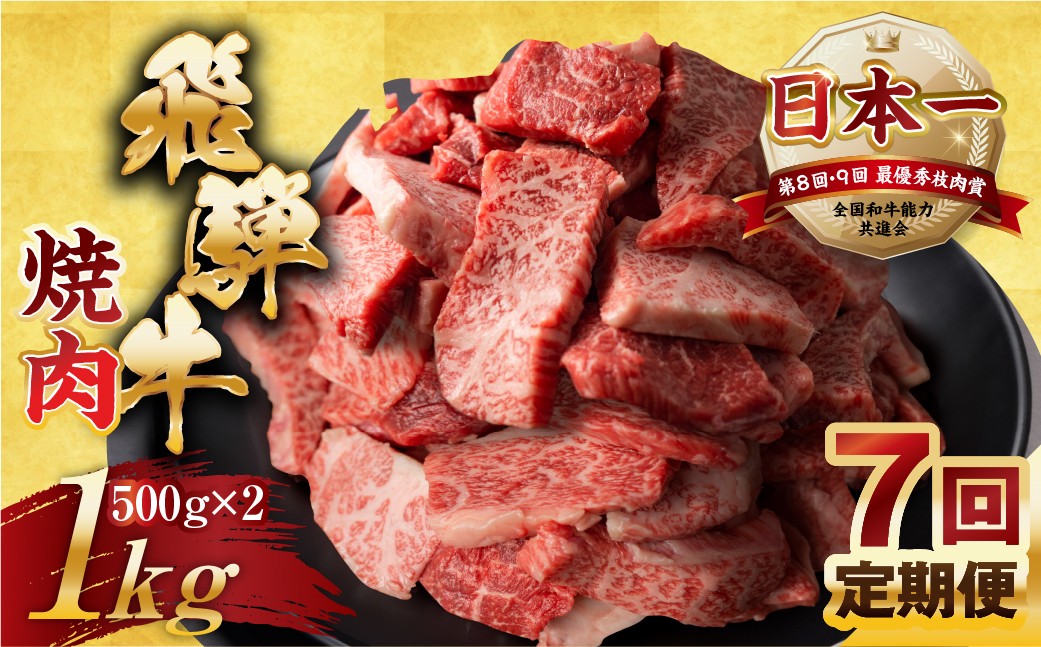 
                  【定期便】訳あり 飛騨牛 焼肉 切り落とし 500g × 2 計 1kg 7回お届け定期便 | 牛肉 肉 切落し わけあり ぎゅうにく にく ひだぎゅう ひだうし 訳あり 商品 ワケアリ 不揃い 小分け 切り落とし きりおとし 小分け 冷凍 本巣市 トキノ屋 食品 訳有 焼肉セット 焼肉用
                