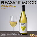 【ふるさと納税】 【南東北サンシャインファーム】PLEASANT MOOD White Wine 白ワイン 750ml F2Y-5579