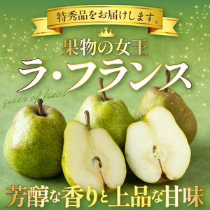 【令和7年産】食べ頃がわかる！ 洋梨「ラ・フランス」 特秀 約5kg（14玉～16玉） 山形県河北町産 【河北町観光物産協会】