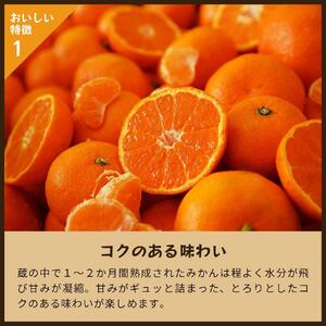 蔵出しみかん中生｜和歌山県海南市下津町の特産品蔵出しみかんの中生品種を産地直送でお届け【2025年1月発送開始】