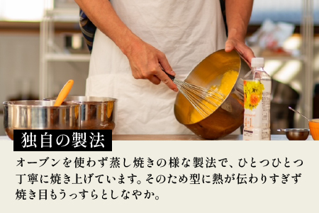 プレーンシフォンケーキ１０個セット お菓子 スイーツ