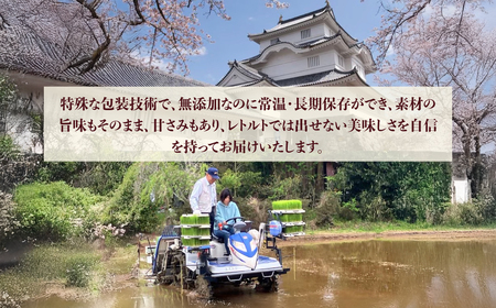 玄米ごはん２００g×３０　ふるさと納税 米 こめ コメ ごはん ご飯 コシヒカリ 玄米 200g 6パック セット 5箱 計30個 長期保存 常温 無添加 お弁当 キャンプ 備蓄 非常食 千葉県 大多