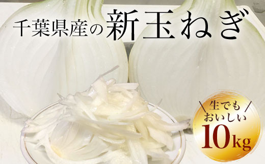 【先行予約:2027年5月以降発送】千葉県産 新玉ねぎ10kg 生でもおいしい！ AD001