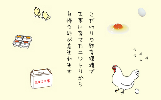 7ヶ月定期便 たまごやとよまる 煌黄20個 たまご 卵 玉子 料理 千葉県 山武市 SMAS013