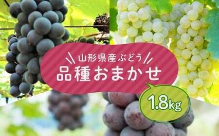 ≪先行予約2026年9月上旬頃～10月下旬頃発送≫山形県産ぶどう 品種おまかせ 1.8kg ぶどう ブドウ 葡萄 デザート フルーツ 果物 くだもの 果実 食品 山形県 FSY-1321
