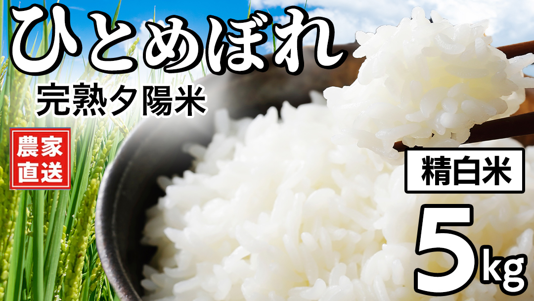 【 新米 】 完熟夕陽米 (精白米) 5kg ひとめぼれ 特別栽培米 令和8年産 生産農家直送  米 産地直送 こめ 精米 白米 ご飯 夕陽米 岩手県 特別栽培 農家直送 事業者応援 生産者支援 日常