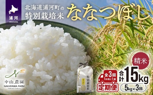【先行受付開始！】浦河の特別栽培米「ななつぼし」精米(5kg×1袋)定期便(全3回)[37-1489]