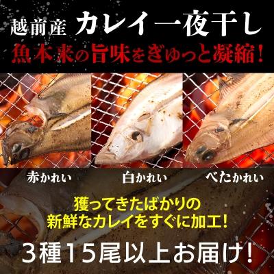 ふるさと納税 越前町 【越前海岸・美味直送シリーズ】　訳あり　越前町産 カレイ一夜干し 2kg |  | 01
