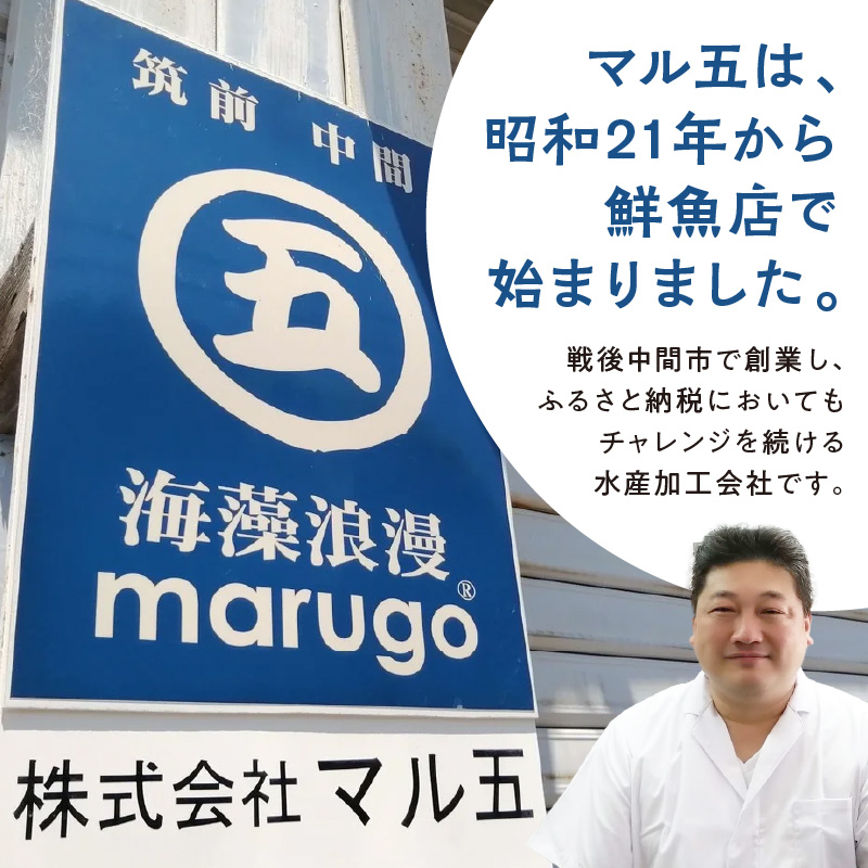 【6回定期便】マルゴめん米麺(海藻入)10食【001-0160】