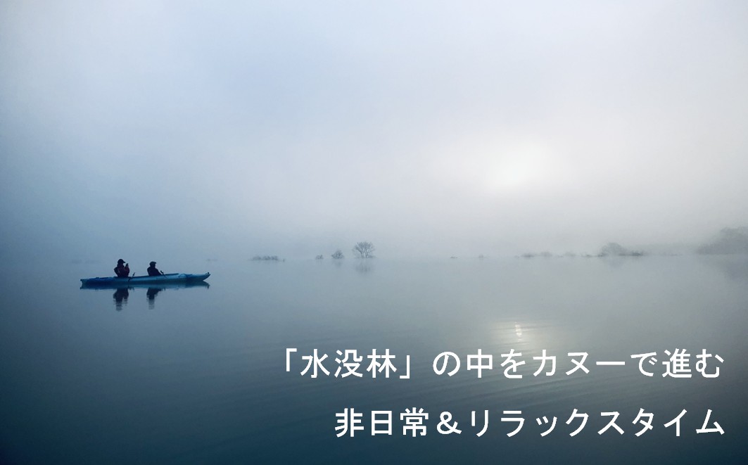 絶景 水没林カヌーツアー（2名様）癒しの自然満喫プレミアムアクティビティ 【フォトジェニックスポット】※3月下旬から5月下旬　