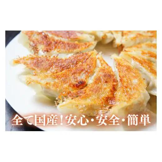 新琉流生餃子 計80個(20個入り×4パック) 