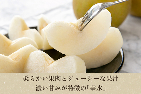 【2026年先行予約】「天果糖逸（てんかとういつ）」「天果糖逸」 新潟県産和梨 幸水 約5kg（10～14玉） 《8月下旬～配送予定》 こうすい 加茂市 えちご中越農業協同組合