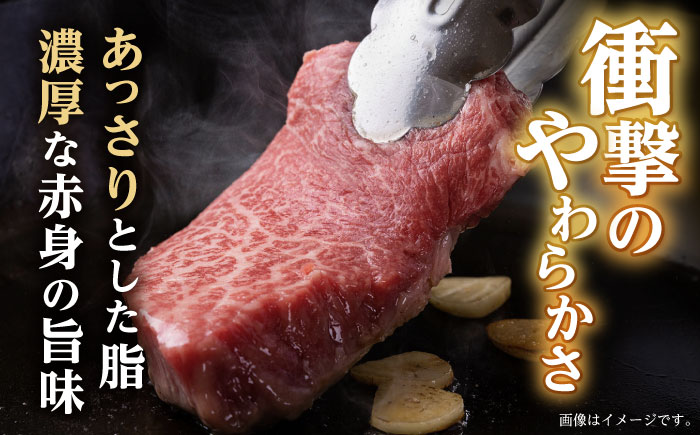 長崎和牛 A5 ランプステーキ 600g(150g×4枚) / ステーキ 長崎和牛 A5ランク 希少部位 / 諫早市 / 野中精肉店 [AHCW035]