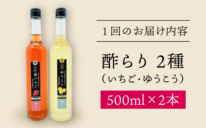 【3回定期便】酢らり 大瓶（いちご・ゆうこう）総計6本＜川添酢造＞ [CDN035]