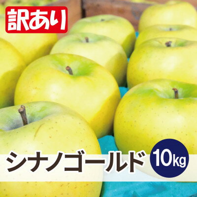 【ふるさと納税】【26年2月出荷予定】平均糖度13度以上! シナノゴールド 約10kg 訳あり【配送不可地域：離島・沖縄県】【1703793】