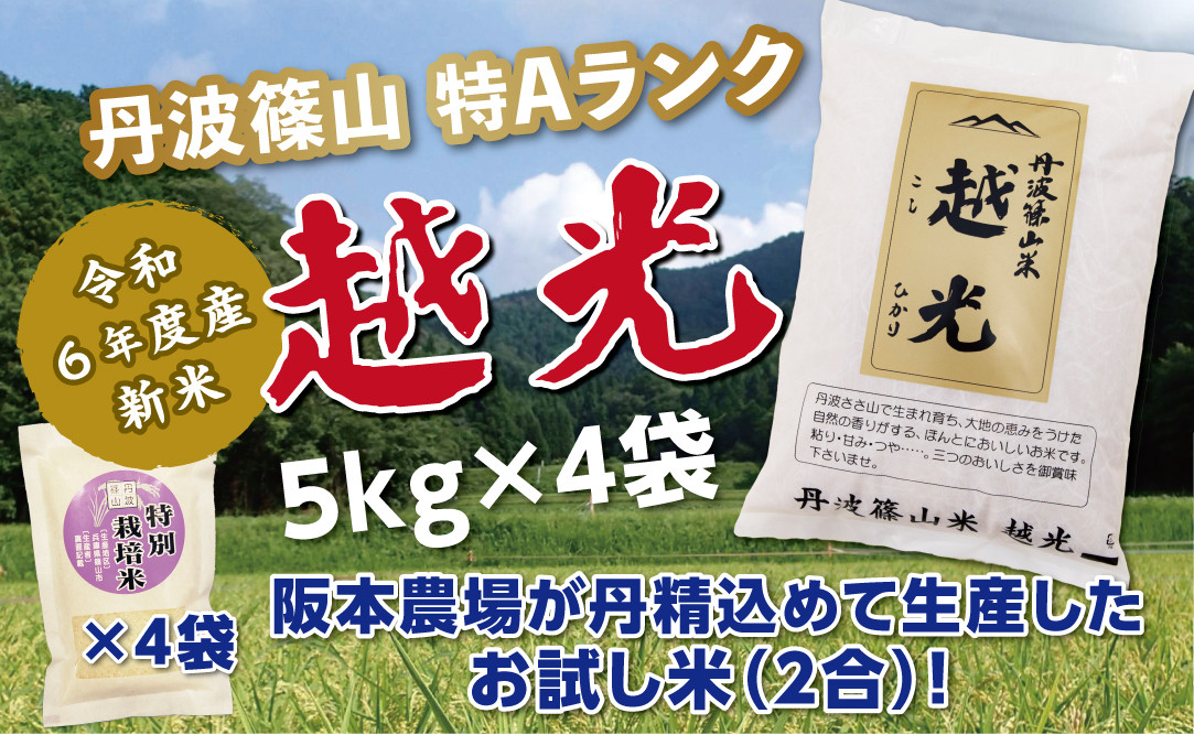 
令和６年産　新米予約受付！！　丹波篠山産特Aランク越光（５kｇ×４袋）
