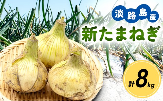 
                  淡路島産 新たまねぎ 8kg 新玉ねぎ タマネギ 甘い 野菜 玉ねぎ 旬の野菜 季節の野菜 兵庫県 洲本市 淡路島 [№5395-0314]
                