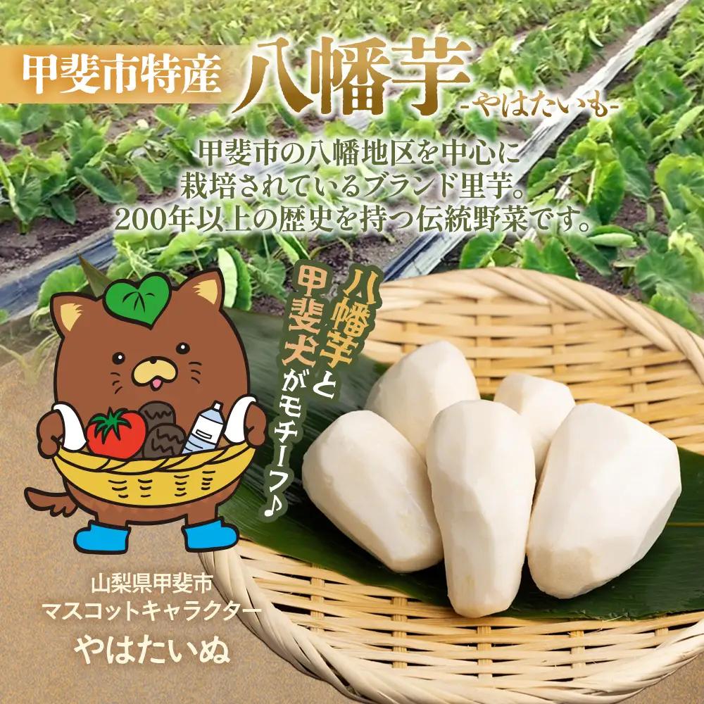 【先行予約】甲斐市産 八幡芋 2L～3Lサイズ 2.0kg 里芋 いも ミクニ農園
