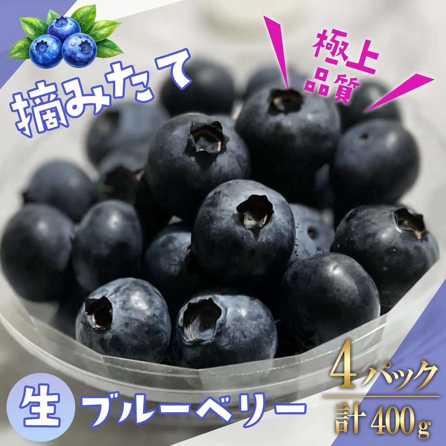 【先行予約】摘みたてブルーベリー 100g×4P ベリー
