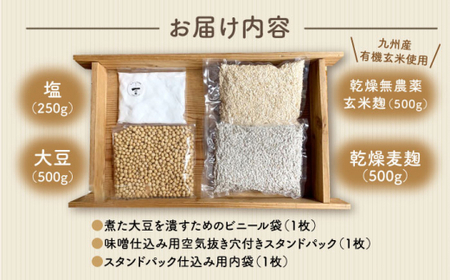手作り 玄米合わせ味噌 CDN050 味噌 自由研究