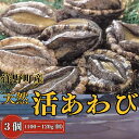 【ふるさと納税】天然活あわび 3個入り (100～120g/個) 冷蔵 鮑 お刺身 ステーキ 産地直送