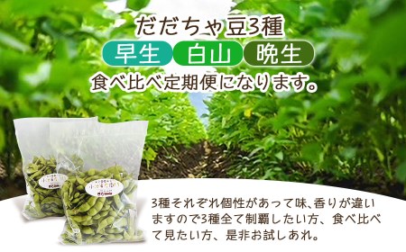 【令和7年産先行予約】朝採りだだちゃ豆（枝豆） 食べ比べ定期便 1.5kg (500g×3袋)×3回 お届け 早生・白山・晩生　小池半左衛門
