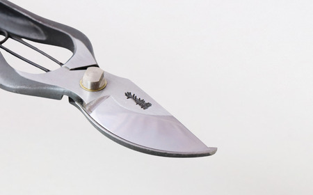 剪定鋏 225mm T-34 園芸 庭仕事 ガーデニング 園芸用品 燕三条製 [外山刃物] 【033S048】