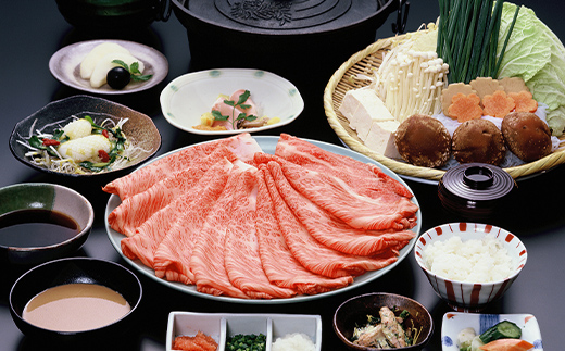 「A4等級以上 飛騨牛 肩ロース」 500g 250g×2パック 和牛 ブランド牛 飛騨牛 小分け 大容量 冷凍でお届け しゃぶしゃぶ すき焼き カタロース スライス 肉のひぐち F6M-326