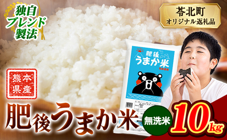 無洗米 肥後うまか米 10kg 無洗《7-14日以内に出荷予定(土日祝除く)》