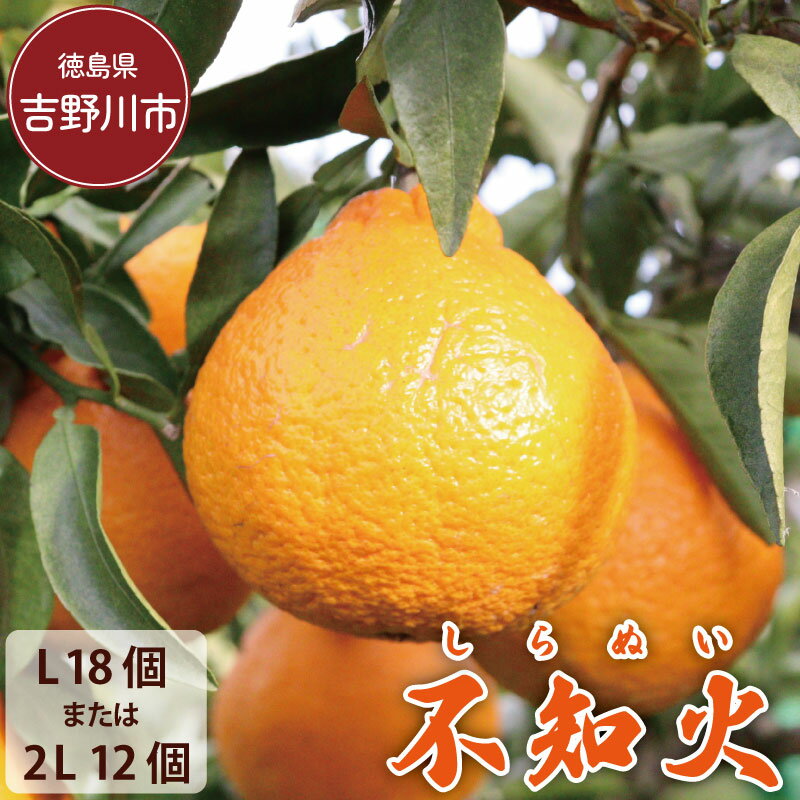 【ふるさと納税】 不知火 L 18個 または 2L 12個 デコポン しらぬい みかん 蜜柑 柑橘 フルーツ 果物 ジュース デザート ケーキ アイス シャーベット ゼリー スイーツ お菓子 ギフト 送料無料 徳島県 吉野川市 山下農園