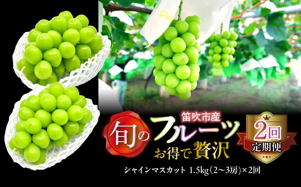 
            【定期便】お得で贅沢2回定期便シャインマスカット1.5kg  227-017-01
          