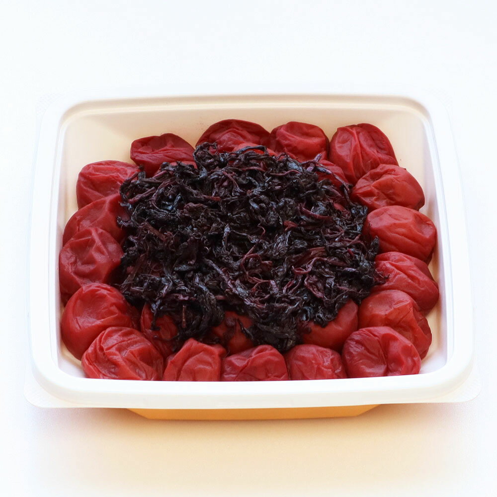 【ふるさと納税】 しそ田舎梅（紀州南高梅）塩分20%　550g | 梅干し 梅干 紀州南高梅 南高梅 梅 ウメ うめ