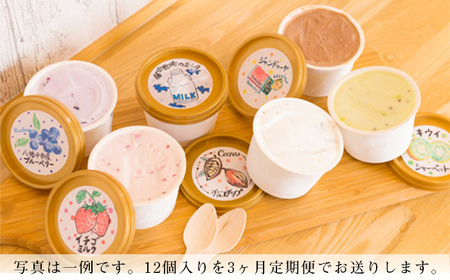 定番ジェラート定期便 12個入り×3回【アイス工房Nollegretto】 ／ アイス スイーツ デザート 定期 ノレグレット