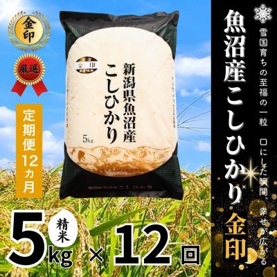 ふるさと納税 津南町 【毎月定期便】魚沼産コシヒカリ(金印)精米 5kg全12回