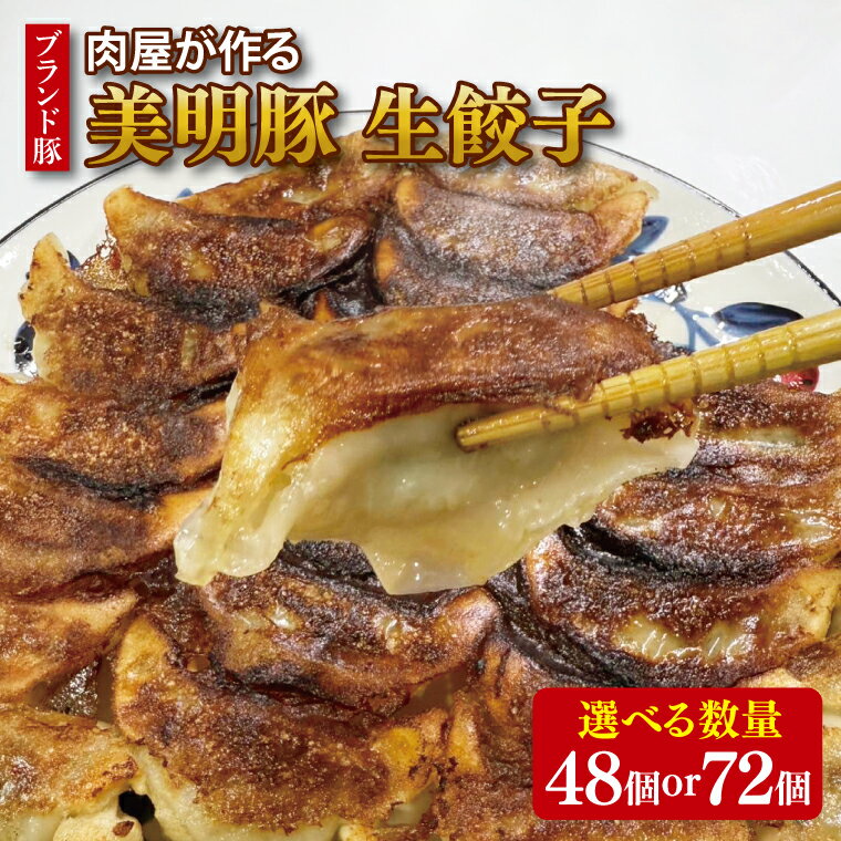 【ふるさと納税】【数量限定】【選べる内容量】【最短7日発送】ブランド豚 肉屋が作る 美明豚 生餃子 24個入り×2パック or 3パック 肉 豚肉 国産 茨城県産 すぐ 届く(HI-5)