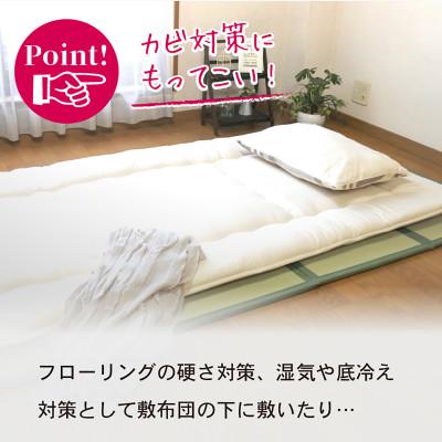 ふるさと納税 岡山市 岡山県岡山市産　樹脂製 畳マット 悠久 サイズ:シングル　カラー:ミックスベージュ |  | 03