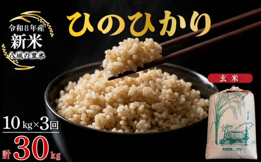【令和8年産先行予約】【定期便 3ヶ月】ひのひかり 玄米 10kg  合計30kg