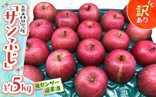 青森県産「サンふじ」家庭用　訳あり 光センサー選果済　約5kg【1656888】