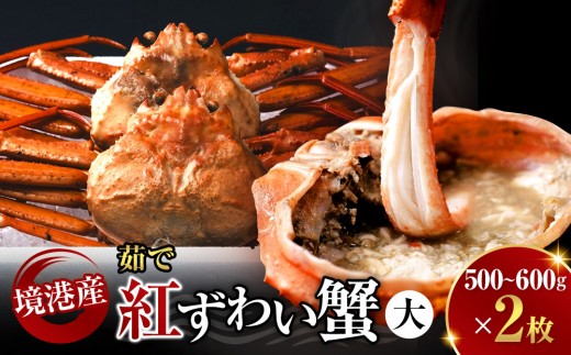 境港産 茹で 紅ずわい蟹 大 500〜600g × 2枚 セット 産地直送 ボイル 冷蔵 鳥取県産 蟹 【鳥取県 境港市】
