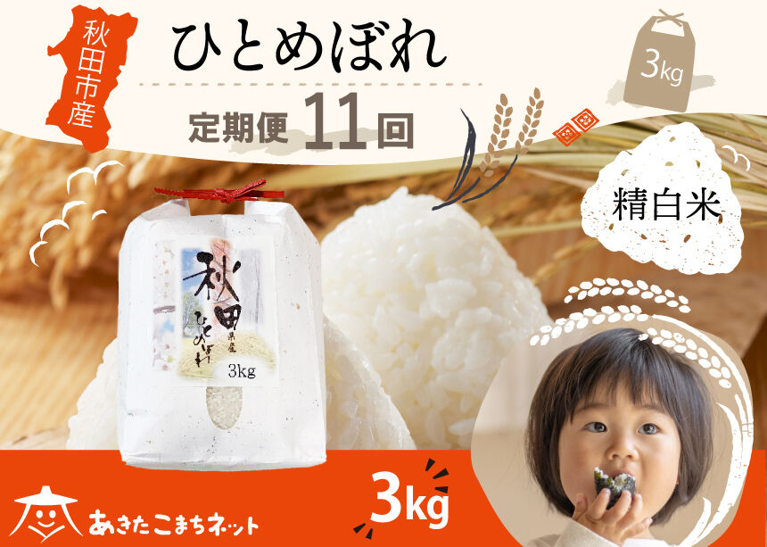 《定期便11ヶ月》ひとめぼれ 3kg 【白米】 秋田市産 [秋田県産 ひとめぼれ お米 精米 定期便 3kg 3キロ]
