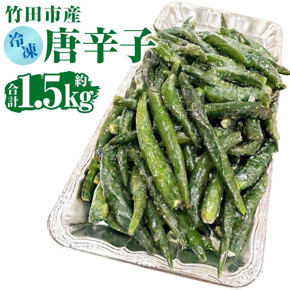 【ふるさと納税】採れたて急速冷凍！竹田市産 冷凍唐辛子 計約1.5kg（約500g×3袋） 唐辛子 トウガラシ とうがらし EXホットパラソル 調味料 料理 冷凍 大分県 竹田市 送料無料 【2026年8月下旬から順次発送予定】