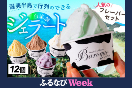 行列店のジェラート 人気のフレーバーセット 12個 ジェラート
