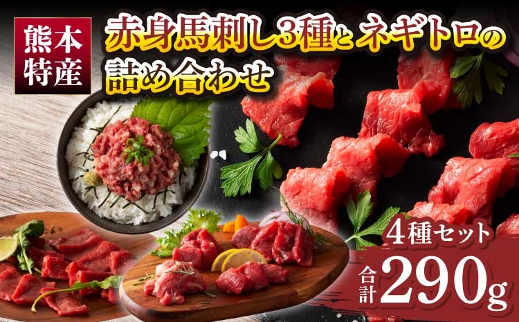 
                  「熊本特産」赤身馬刺し3種とネギトロの詰め合わせ 馬肉 馬刺し ネギトロ 赤身 ロース ランプ 本場 食べ比べ 4種 セット 専門店 自社牧場 産地直送 絶品 お取り寄せ ご褒美 贅沢 おつまみ 小分け 贈答 ギフト プレゼント フジチク
                