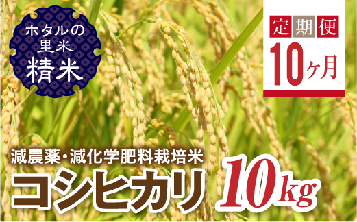 
                   ＜定期便10ヶ月＞ 令和8年産米【ホタルの里米】環境に配慮し農薬を減らした栽培米 コシヒカリ精米10kg  F4D-2300
                