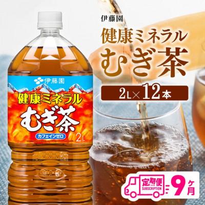 ふるさと納税 川南町 【毎月定期便】健康ミネラル むぎ茶 カフェインゼロ 2L×6本×2ケース(川南町)全9回